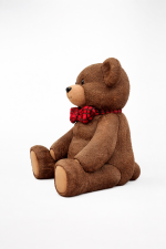 Cozy Bear - Image 2